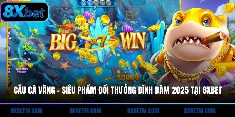 Câu Cá Vàng 8xbet