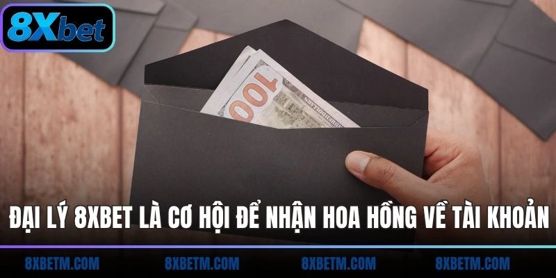 Đại lý 8xbet là cơ hội để nhận hoa hồng về tài khoản