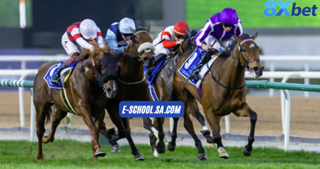 Chiến lược cá cược đua ngựa 8XBET